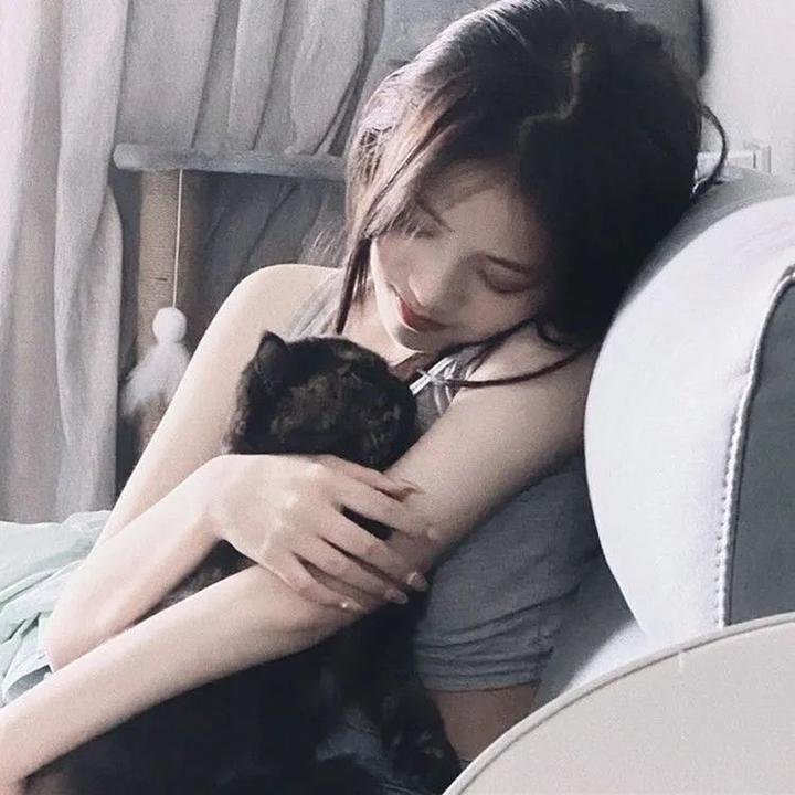 瓢虫少女第五季 在线观看
